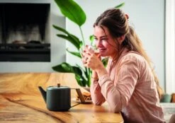 Bredemeijer Duet Design Boston Theepot 1,1 Liter Grijs -Koffie Thee Winkel bredemeijer duet design boston theepot 1 1 liter grijs 3