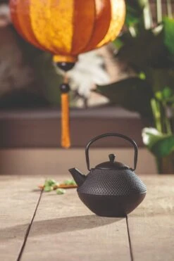 Bredemeijer Xinjang Theepot 1 Liter Gietijzer Zwart -Koffie Thee Winkel bredemeijer xinjang theepot 1 liter gietijzer zwart 3